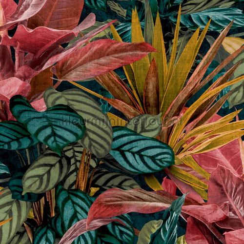 Print 1 exotische weelde tapet 92523 Trendy Hookedonwalls