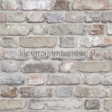 Print 3 bakstenen muur papel pintado 92527 industrial Hookedonwalls