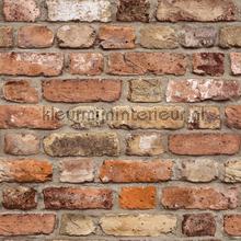 Print 3 bakstenen muur behang Hookedonwalls Industrieel 