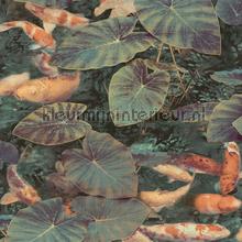 Print 5 koi karpers tapeten Hookedonwalls weltraum 