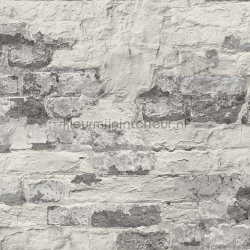 Print 8 verweerde muur papier peint 92540 Pierres Hookedonwalls