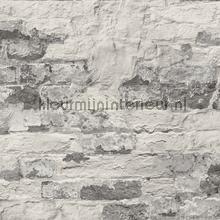 Print 8 verweerde muur wallcovering Hookedonwalls Vintage- Old wallpaper 