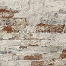 Print 8 verweerde muur behang Hookedonwalls Industrieel 