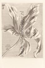 Tulip Teyler Sepia photomural Eijffinger Trendy Hip 