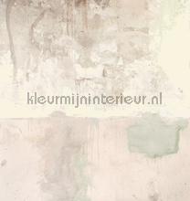 Wheaterd wall Pale pink fototapet Eijffinger verdenskort 