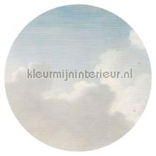 Dutch sky 100 cm stickers mureaux Eijffinger tout images 