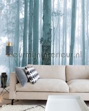 Mysterious forest fotomurali Eijffinger Sun Mare Spiaggia 