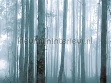 Mysterious forest photomural Eijffinger world maps 