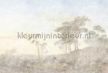 Romanticgrove 1 papier peint AS Creation Walls by Patel 3 DD121964