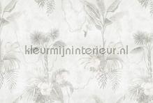 Lifeinthetree 4 wallcovering AS Creation Walls by Patel 3 DD121992