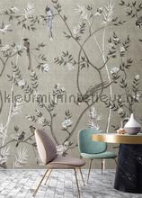 Tea room 2 papier peint AS Creation Walls by Patel 3 DD122000