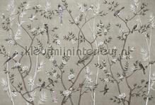 Tea room 2 wallcovering AS Creation Walls by Patel 3 DD122000