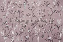 Tea room 3 wallcovering AS Creation Walls by Patel 3 DD122004