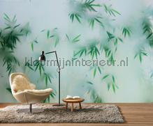 Pandas paradise 1 wallcovering AS Creation Walls by Patel 3 DD122040