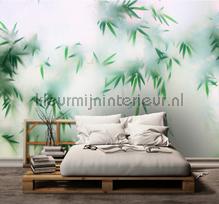 Pandasparadise 3 papier murales AS Creation PiP studio wallpaper 