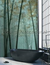 In the bamboo 3 fototapeten AS Creation weltkarten 