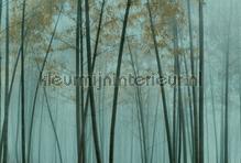 In the bamboo 3 fotomurais AS Creation telhas 