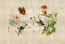 Voliere 1 fotomurais AS Creation telhas 