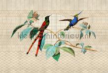 Voliere 2 fotomurais AS Creation telhas 