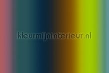 Over the rainbow 1 fototapet AS Creation teenagere 