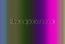 Over the rainbow 3 fototapet AS Creation teenagere 