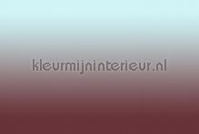 Colourstudio 3 fototapet AS Creation teenagere 