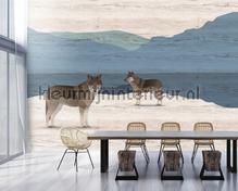 Yukon 1 fotomurais AS Creation telhas 