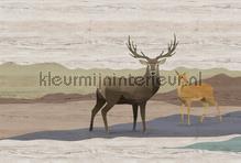 Yukon 2 fotomurais AS Creation telhas 