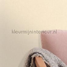 Uni mat vanille papier peint Caselio papier peint Top 15 