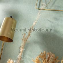 Uni metalliseirise vert amande dore wallcovering Caselio all images 