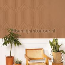 Infini camel cuivre wallcovering Caselio all images 