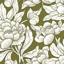 Envergure kaki wallcovering Caselio Vintage- Old wallpaper 