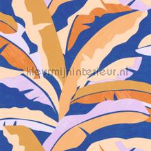 Ampleur bleu roi corail wallcovering Caselio Vintage- Old wallpaper 