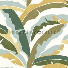 Ampleur vert wallcovering Caselio Vintage- Old wallpaper 