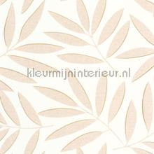 Portee beige or tapeten Caselio uni farben 