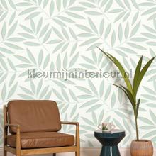 Portee vert deau or wallcovering Caselio all images 