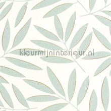 Portee vert deau or tapeten Caselio uni farben 