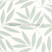 Portee vert deau or wallcovering Caselio all images 