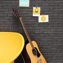 Be free gris anthracite tapeten Caselio uni farben 