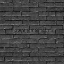 Be free gris anthracite tapeten Caselio uni farben 