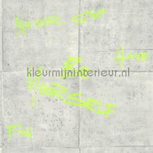 Chill time gris fluo papel pintado Caselio Wallpaper creations 