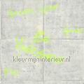 Chill time gris fluo wallcovering YNF103319026 teenager Kids room