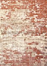 Poetic wall rouge 200280 fototapeten Caselio weltkarten 