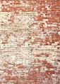 Poetic wall rouge 200280 fotomurais YNF103438203 Pedras - Concreto Temas