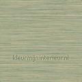 Akita wallcovering 6074 natural materials Styles