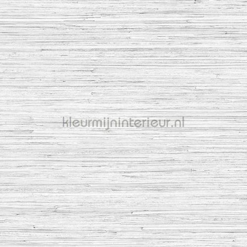 Akita wallcovering 6075 natural materials Arte