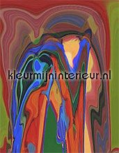 abstract 8 fottobehaang Noordwand Evolutions III 1267