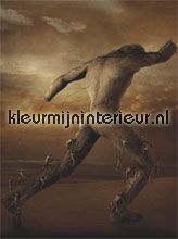 helpless fotomurales Noordwand Evolutions III 1276