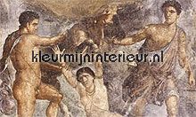 punishment of dirce fotomurales Noordwand Evolutions III 1304