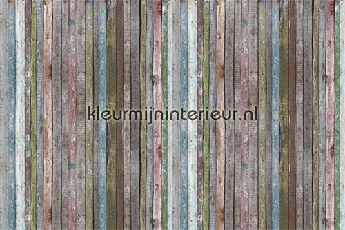colorful wall boards fotowand fotomurales 036711 XXL Wallpaper AS Creation